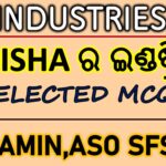Objective Questions on Industry of Odisha
