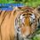 List of Top wildlife sanctuary in Odisha 2023 FREE PDF